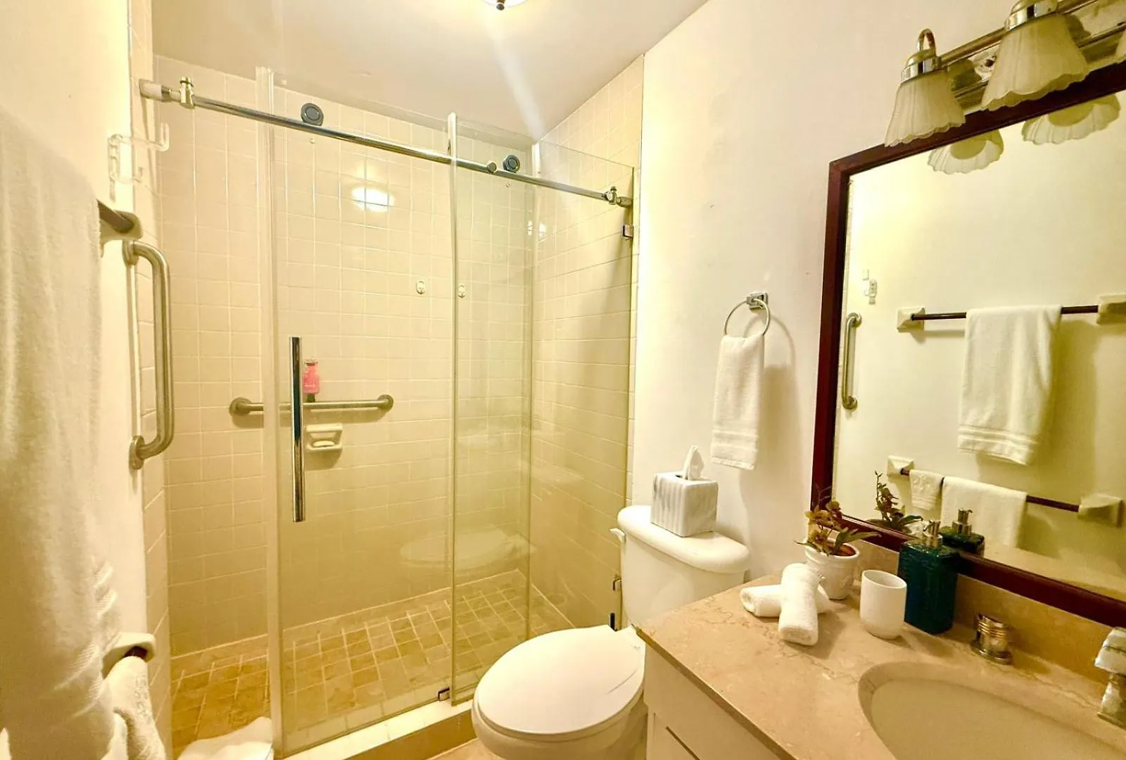 Villa Teale Serene Dorado Escape 波多黎各