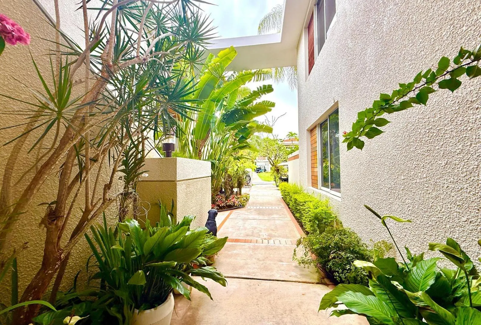 Villa Teale Serene Dorado Escape 波多黎各